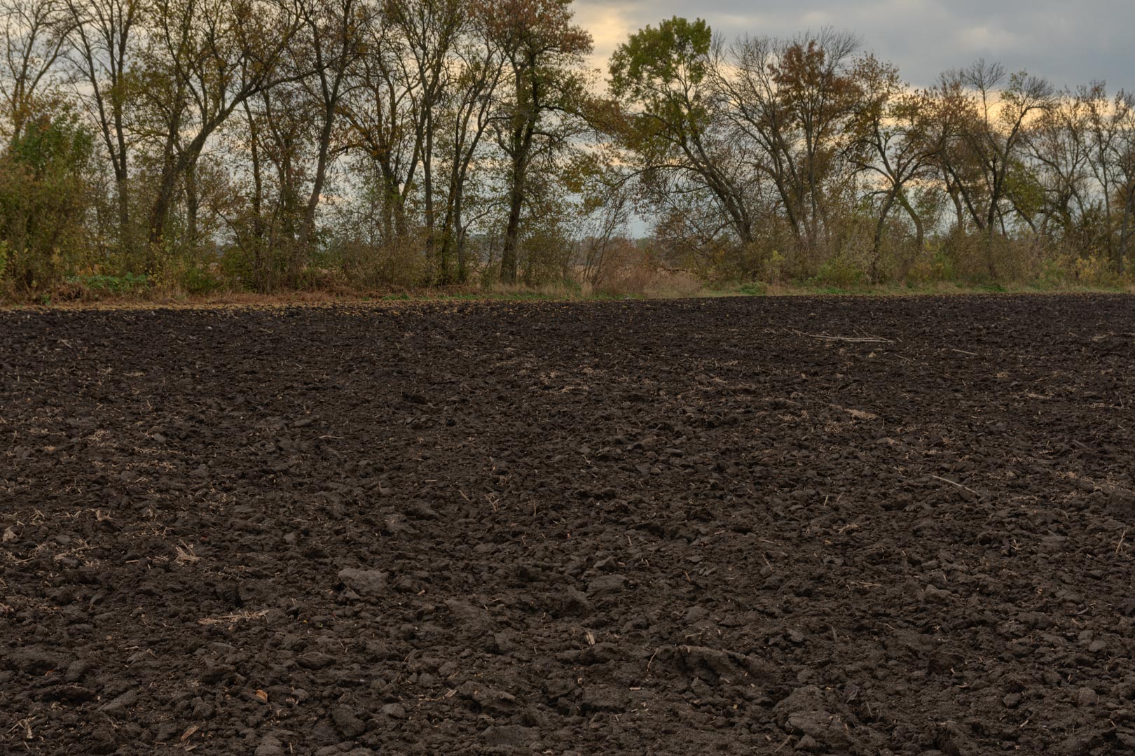 Backplate • ID: 13368 • HDRI Haven - Dug Up Dark Soil In The Field