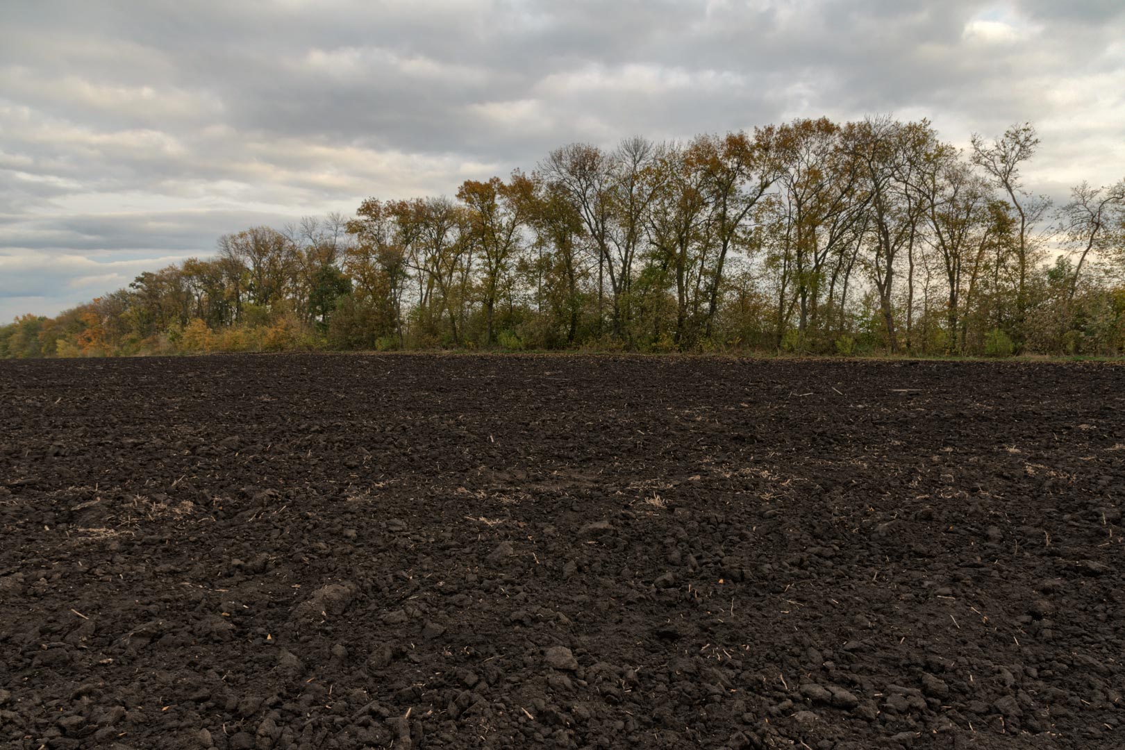 Backplate • ID: 15104 • HDRI Haven - Dug Up Dark Soil In The Field