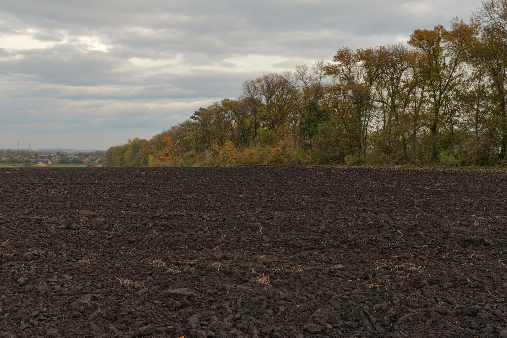 Backplate • ID: 15105 • HDRI Haven - Dug Up Dark Soil In The Field