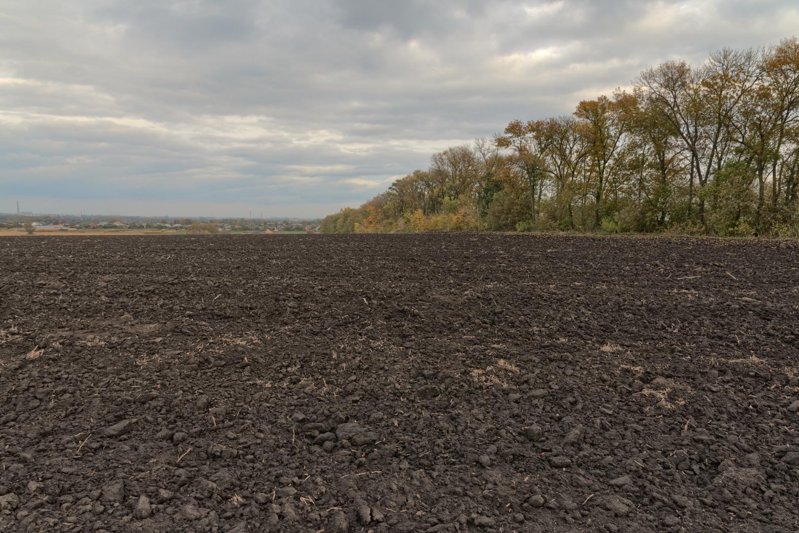 Backplate • ID: 13373 • HDRI Haven - Dug Up Dark Soil In The Field