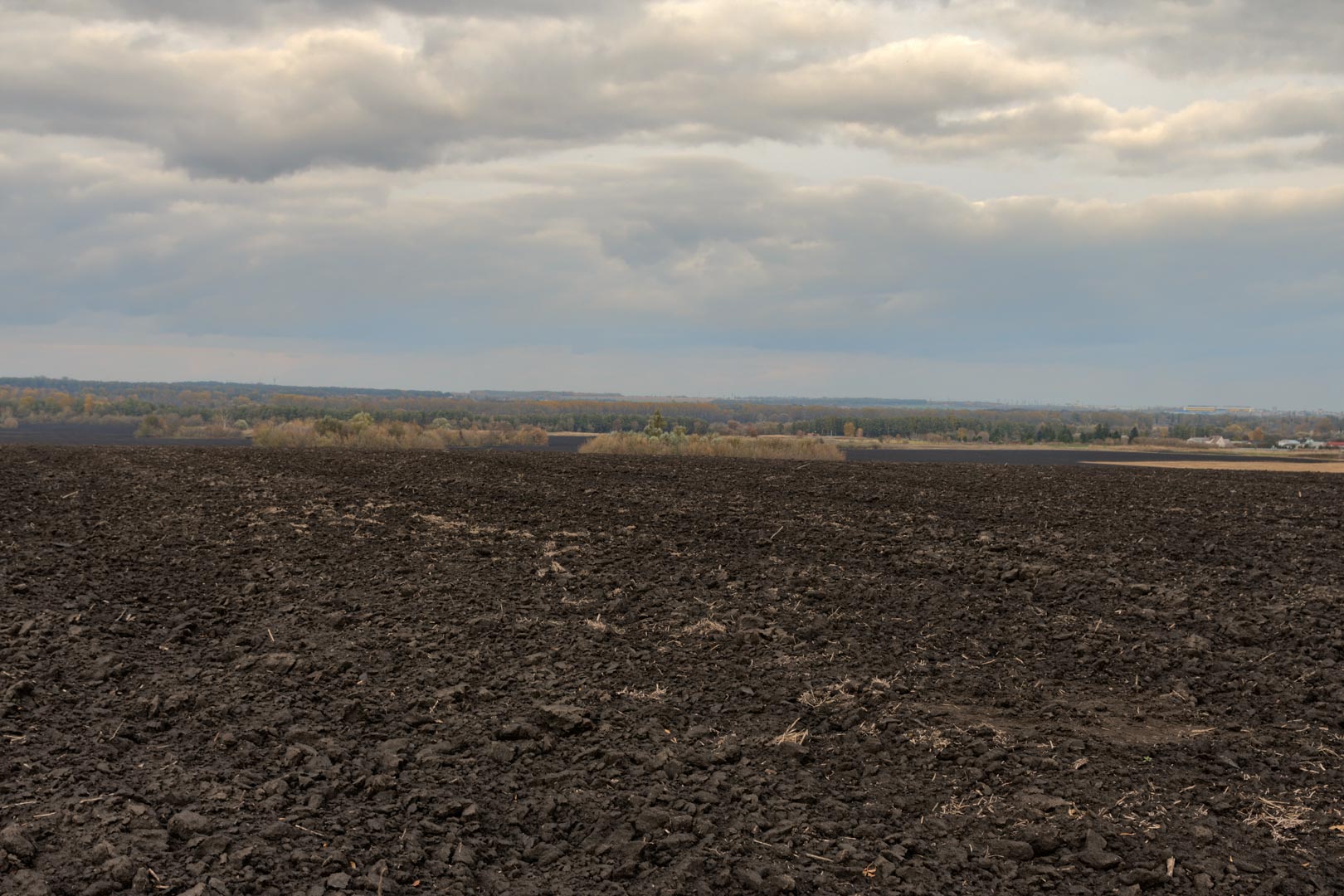 Backplate • ID: 15112 • HDRI Haven - Dug Up Dark Soil In The Field