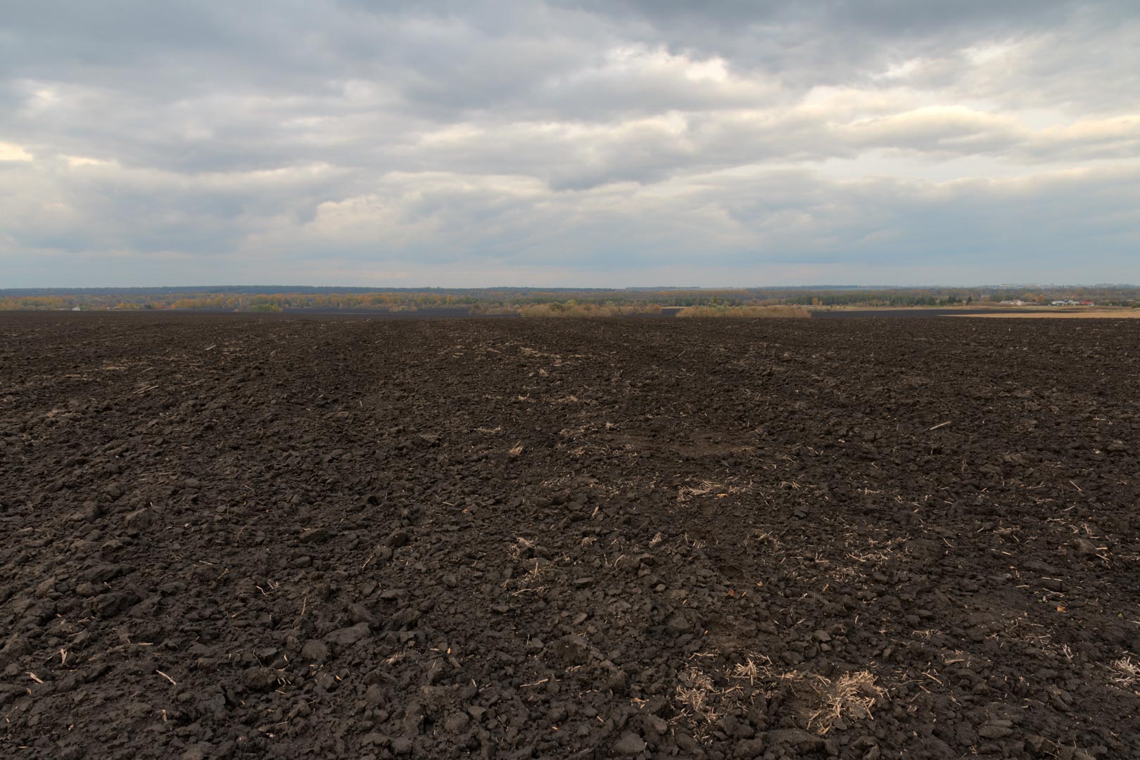 Backplate • ID: 15114 • HDRI Haven - Dug Up Dark Soil In The Field