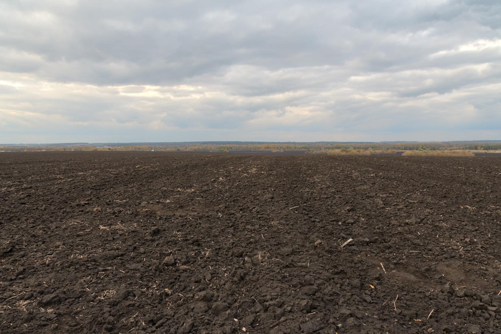 Backplate • ID: 15116 • HDRI Haven - Dug Up Dark Soil In The Field