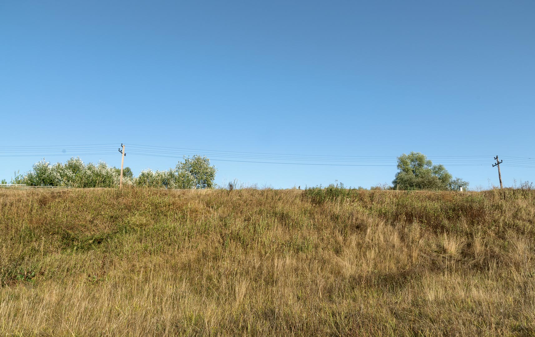 Backplate • ID: 9743 • HDRI Haven - Meadow At The Railway