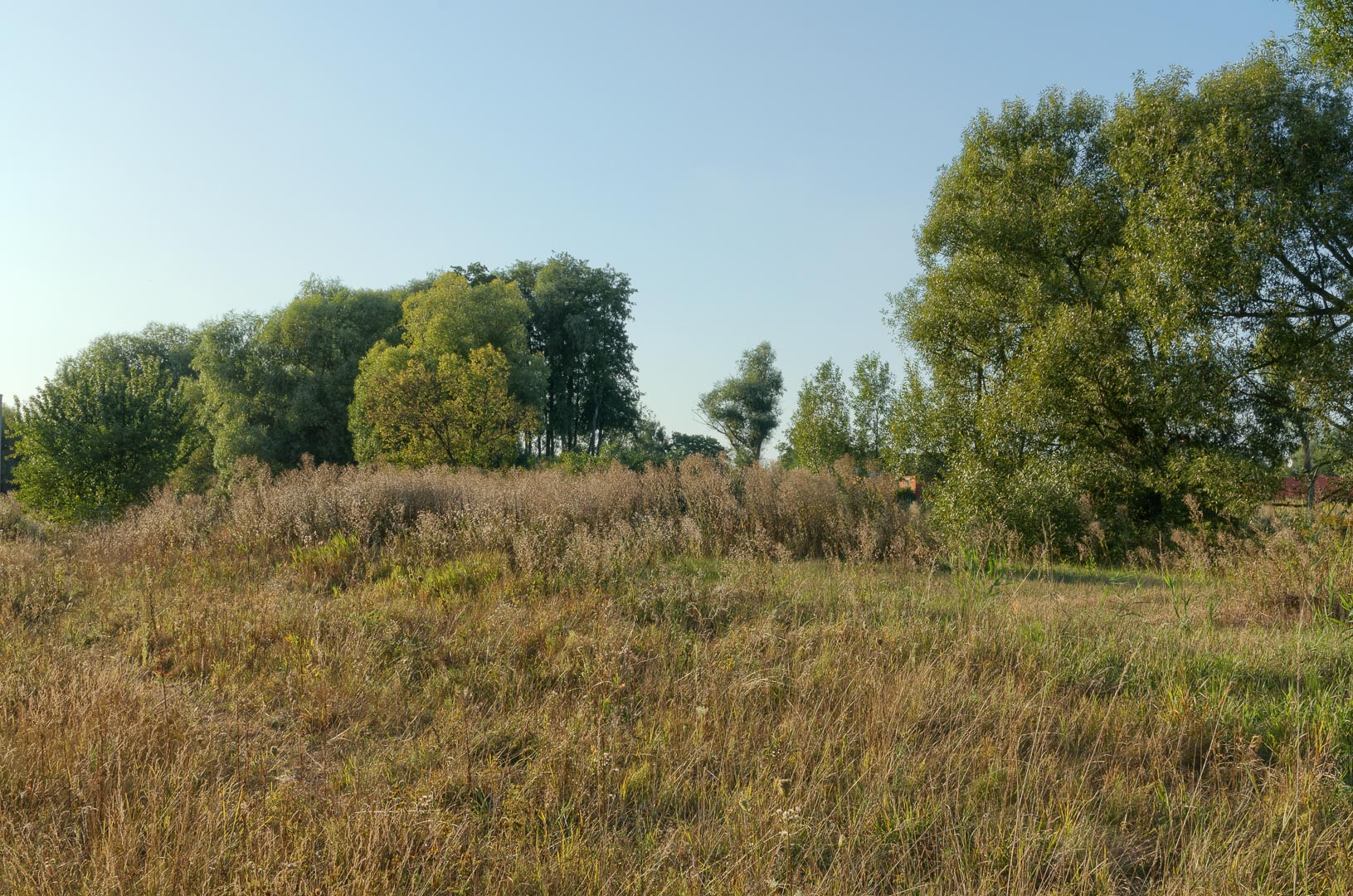 Backplate • ID: 6067 • HDRI Haven - Meadow At The Railway