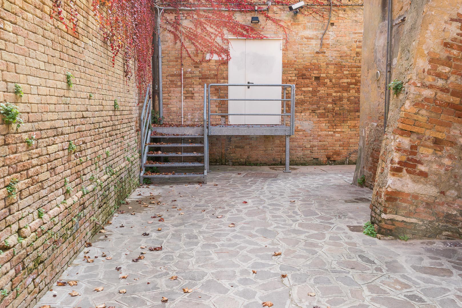 Backplate • ID: 6130 • HDRI Haven - Street With Brick Wall Covered With Leaves