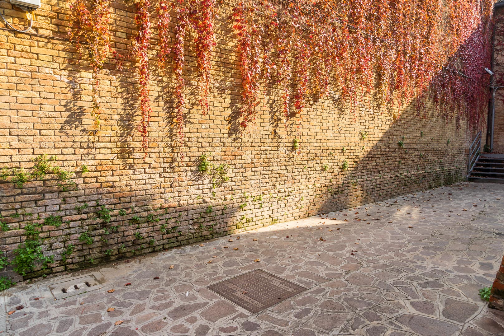 Backplate • ID: 6135 • HDRI Haven - Street With Brick Wall Covered With Leaves
