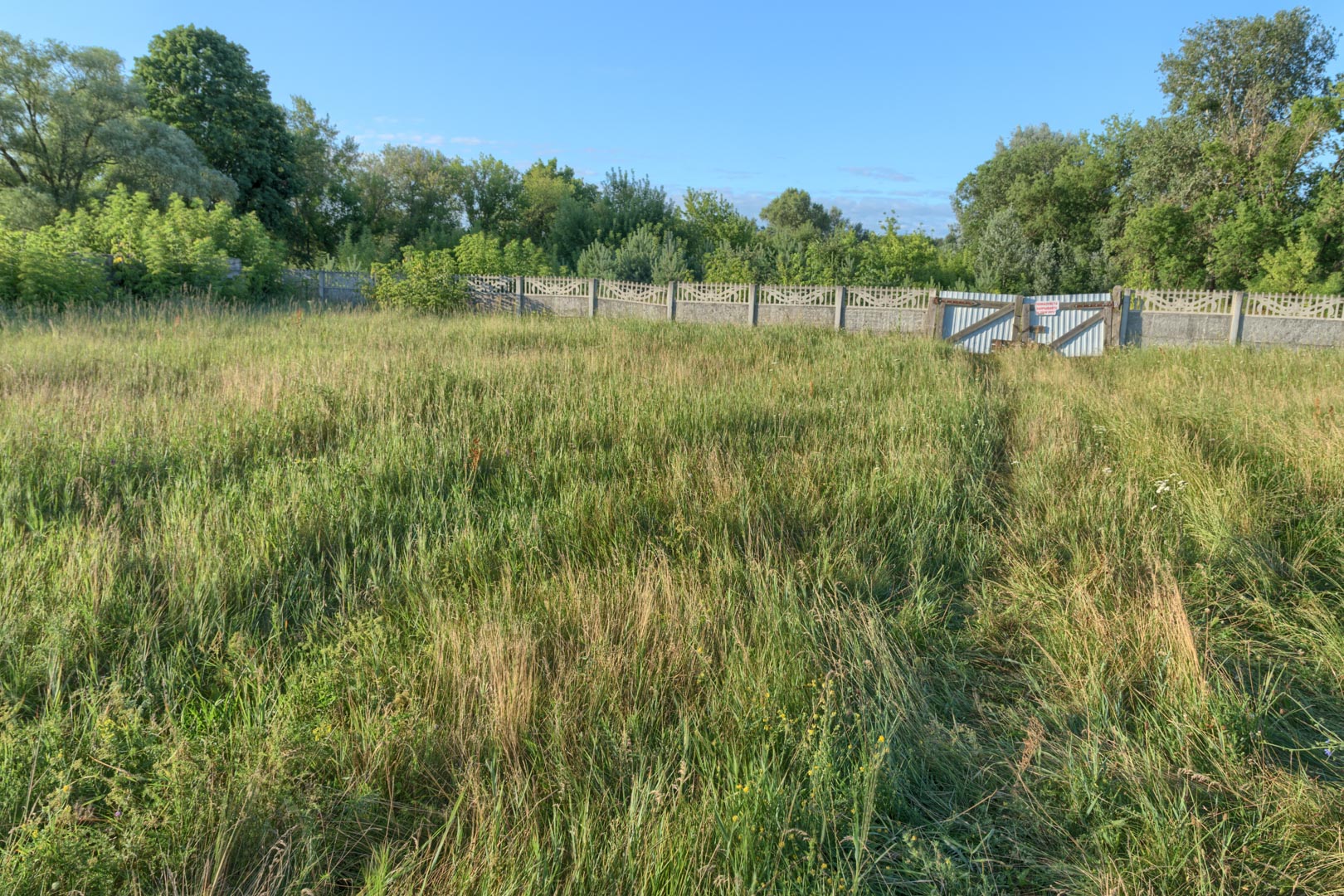 Backplate • ID: 13844 • HDRI Haven - Overgrown Backyard