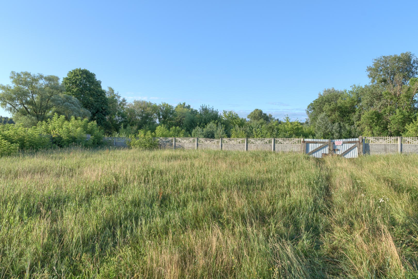 Backplate • ID: 13845 • HDRI Haven - Overgrown Backyard