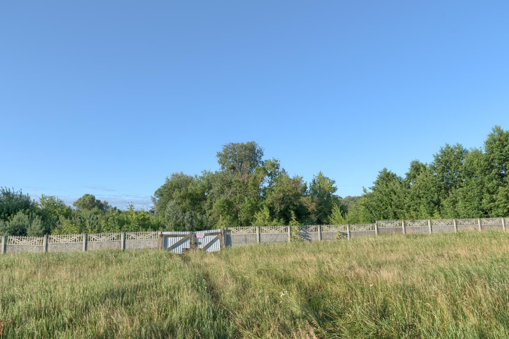 Backplate • ID: 13846 • HDRI Haven - Overgrown Backyard