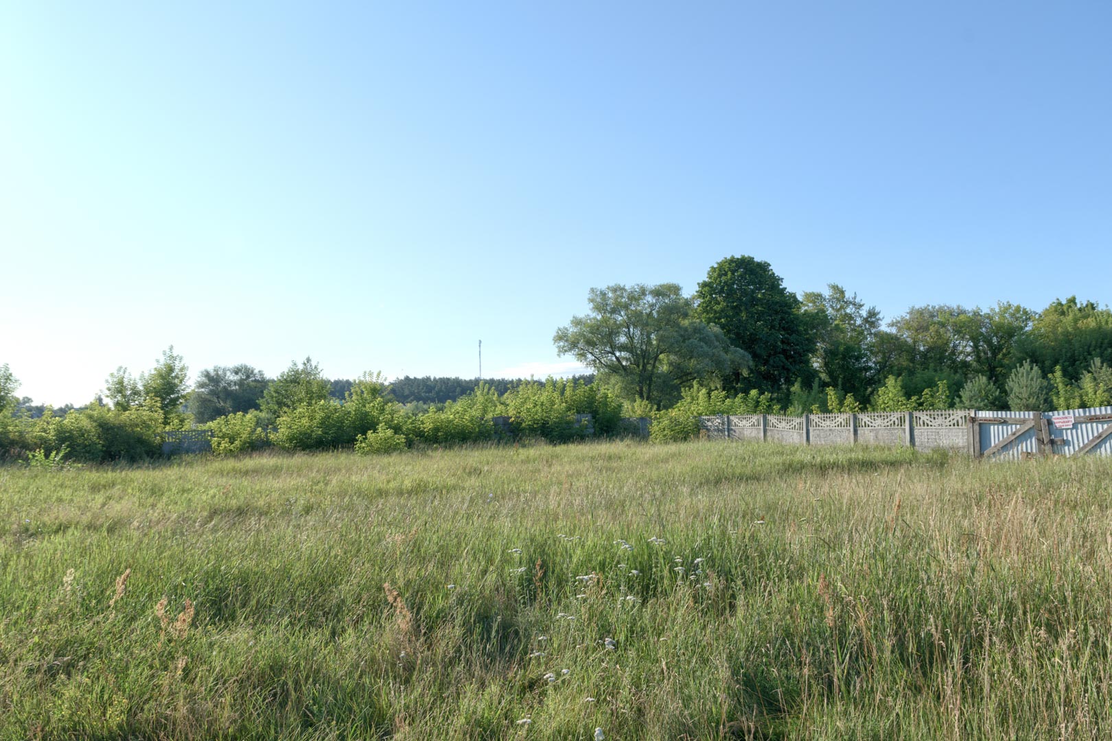 Backplate • ID: 13833 • HDRI Haven - Overgrown Backyard