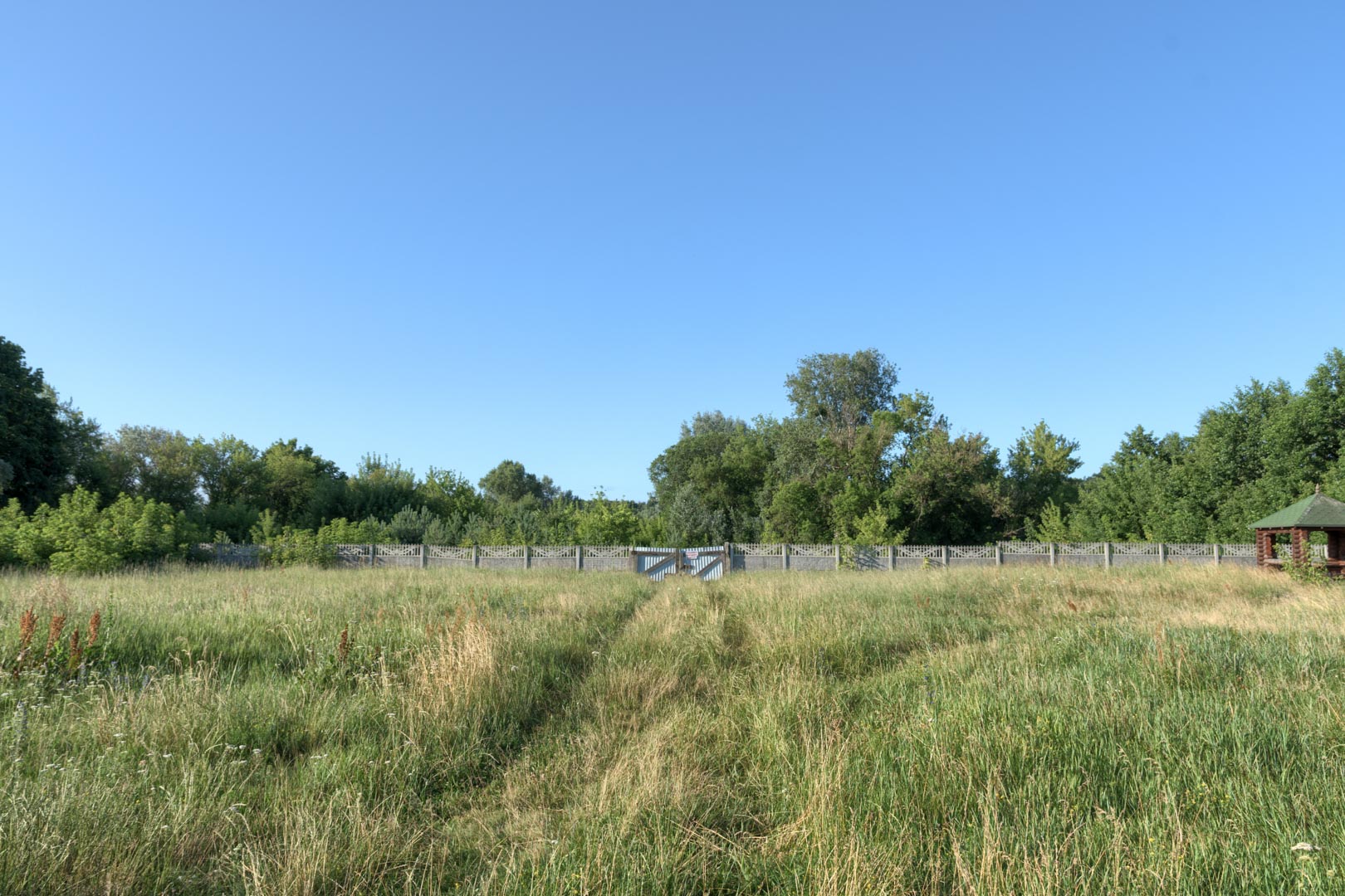 Backplate • ID: 15220 • HDRI Haven - Overgrown Backyard