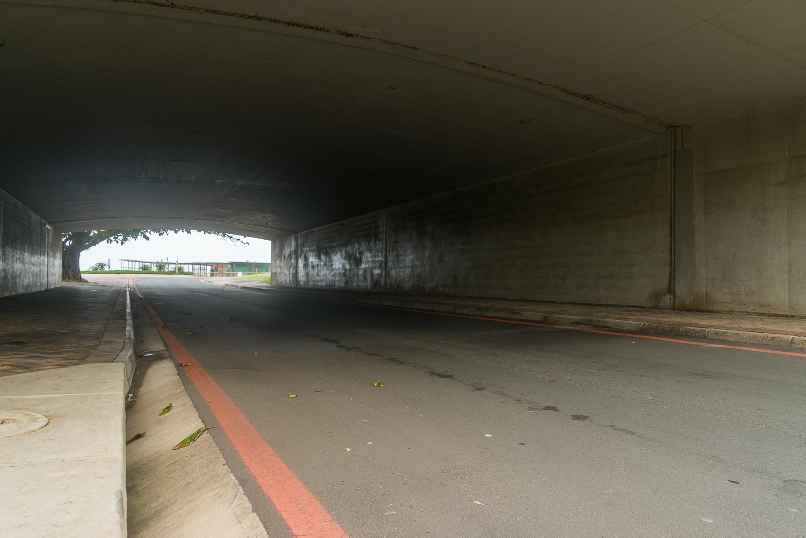 Backplate • ID: 10123 • HDRI Haven - Road Underpass