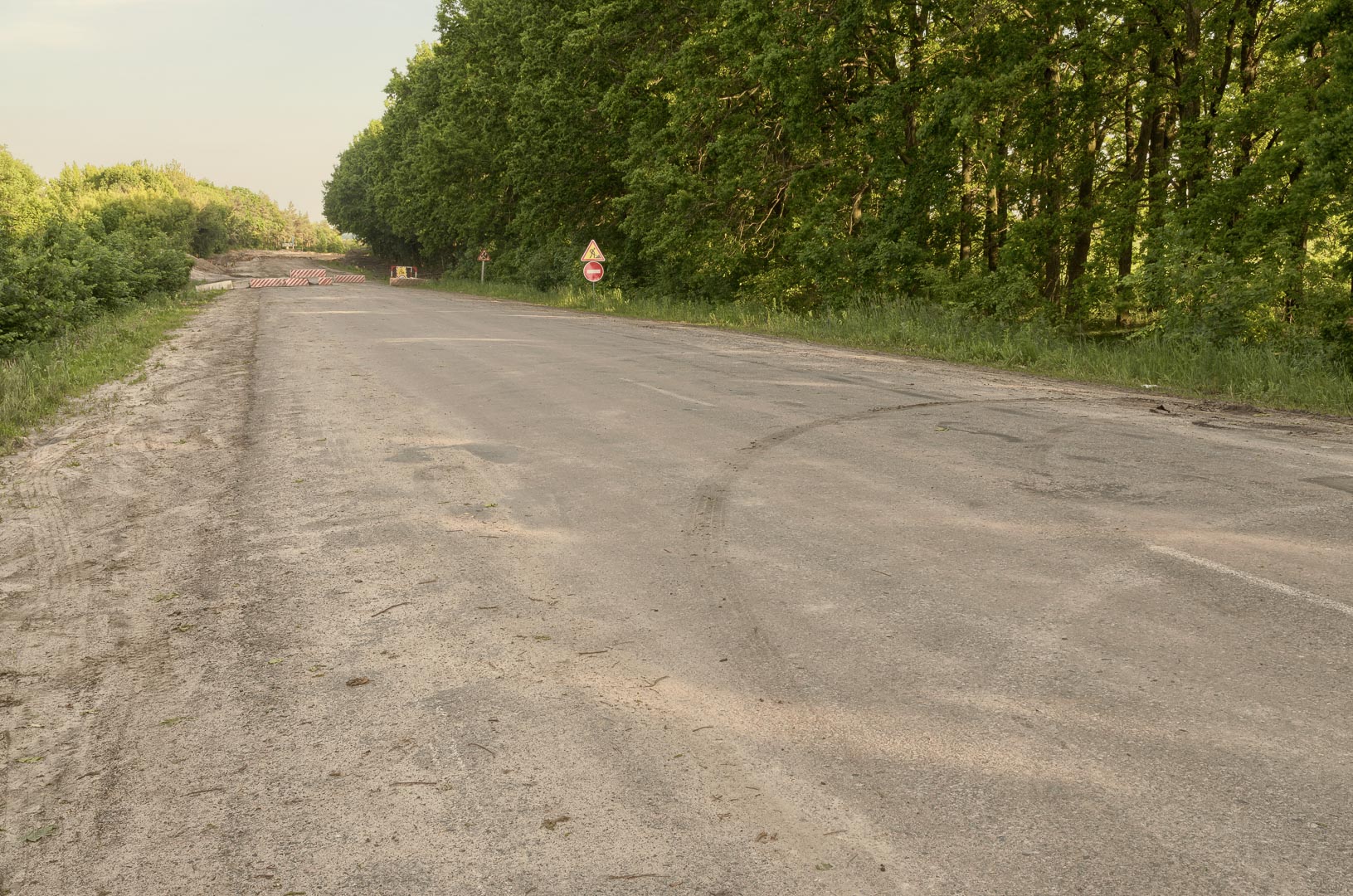 Backplate • ID: 10314 • HDRI Haven - Road Between The Fields