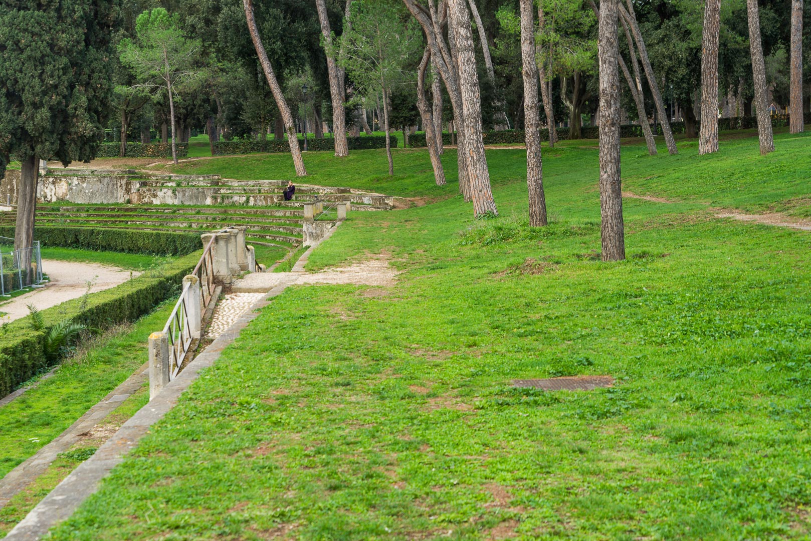 Backplate • ID: 10327 • HDRI Haven - Pinus Pinea Park