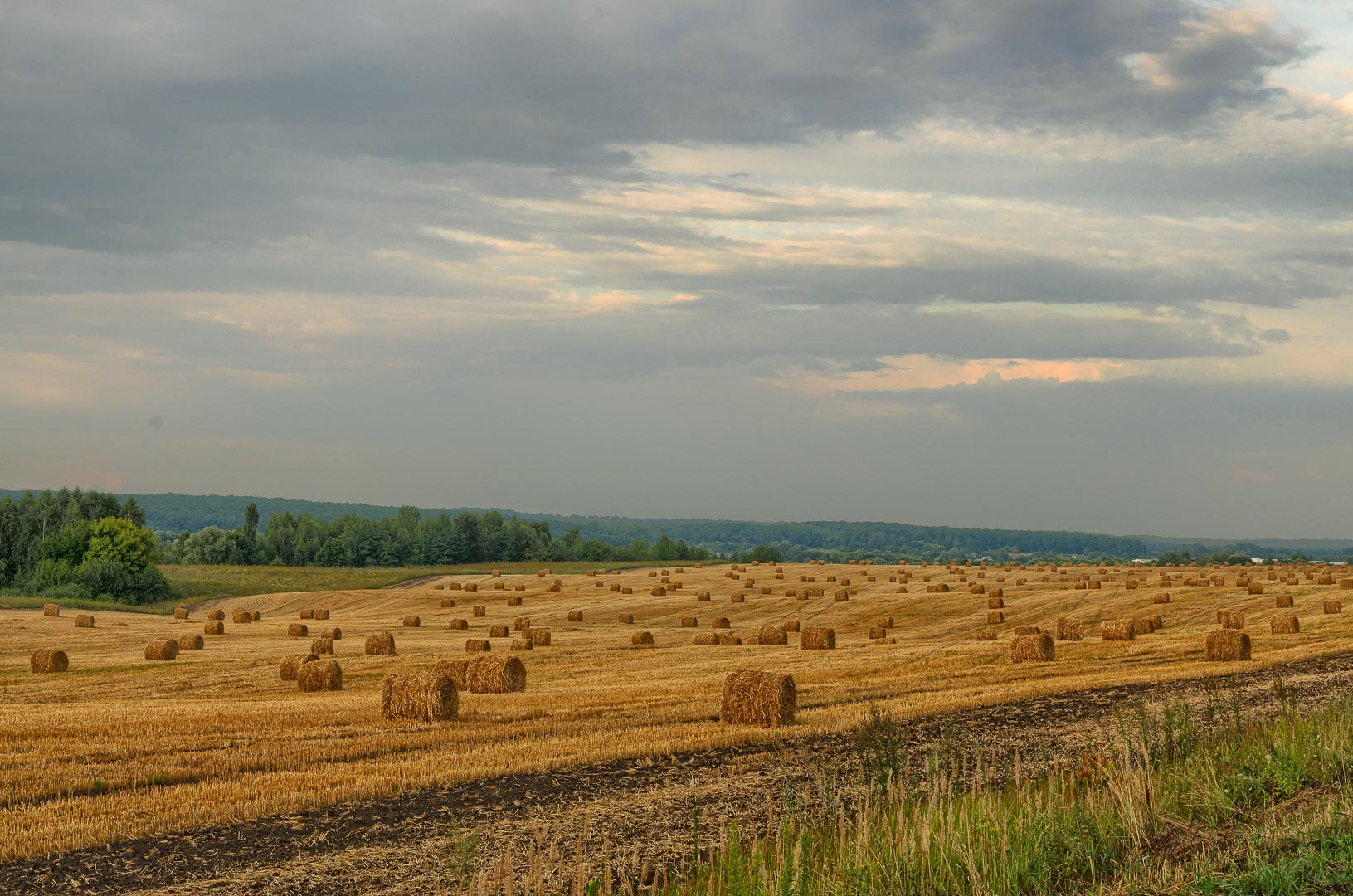 Backplate • ID: 14287 • HDRI Haven - Bales Of Hay By Road