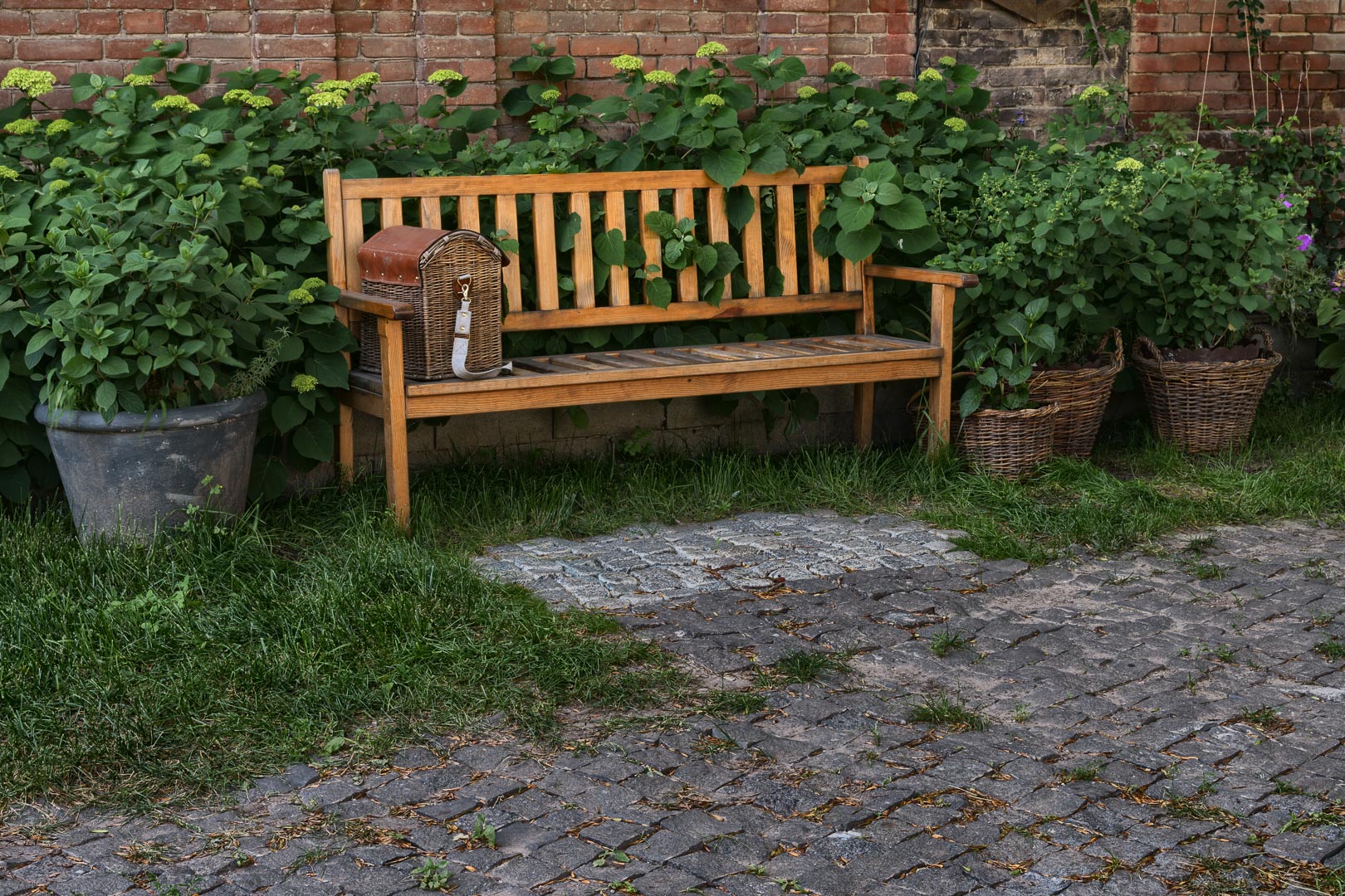 Backplate • ID: 10393 • HDRI Haven - Backyard Garden