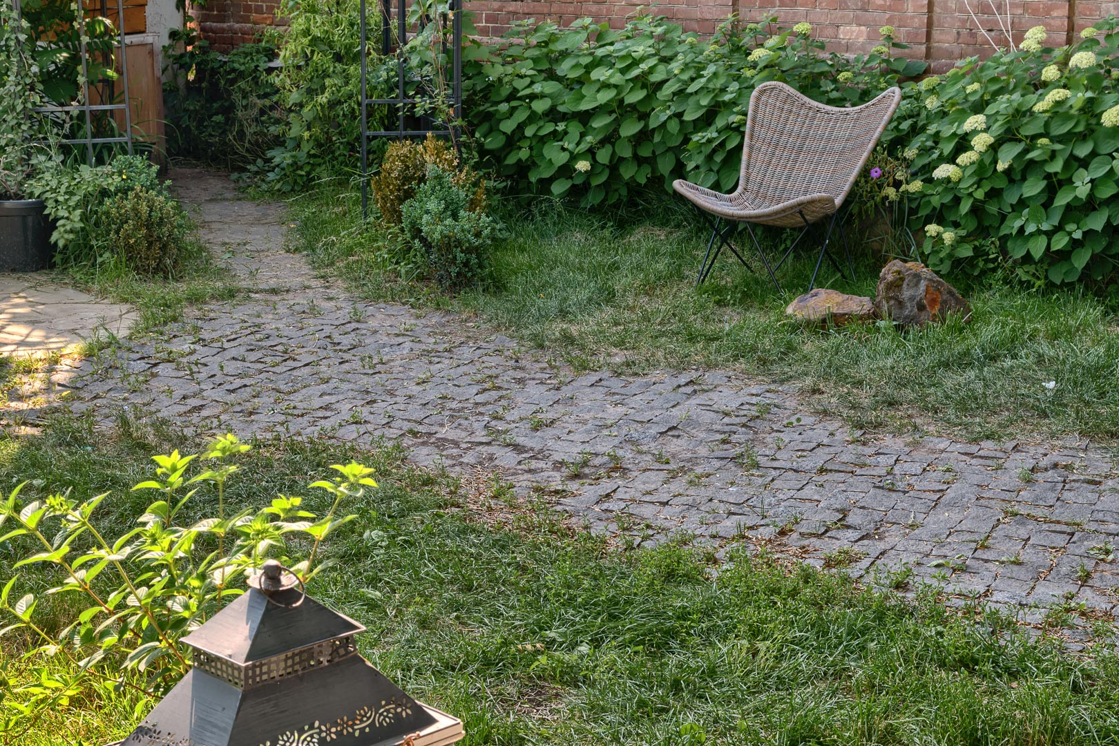 Backplate • ID: 14325 • HDRI Haven - Backyard Garden