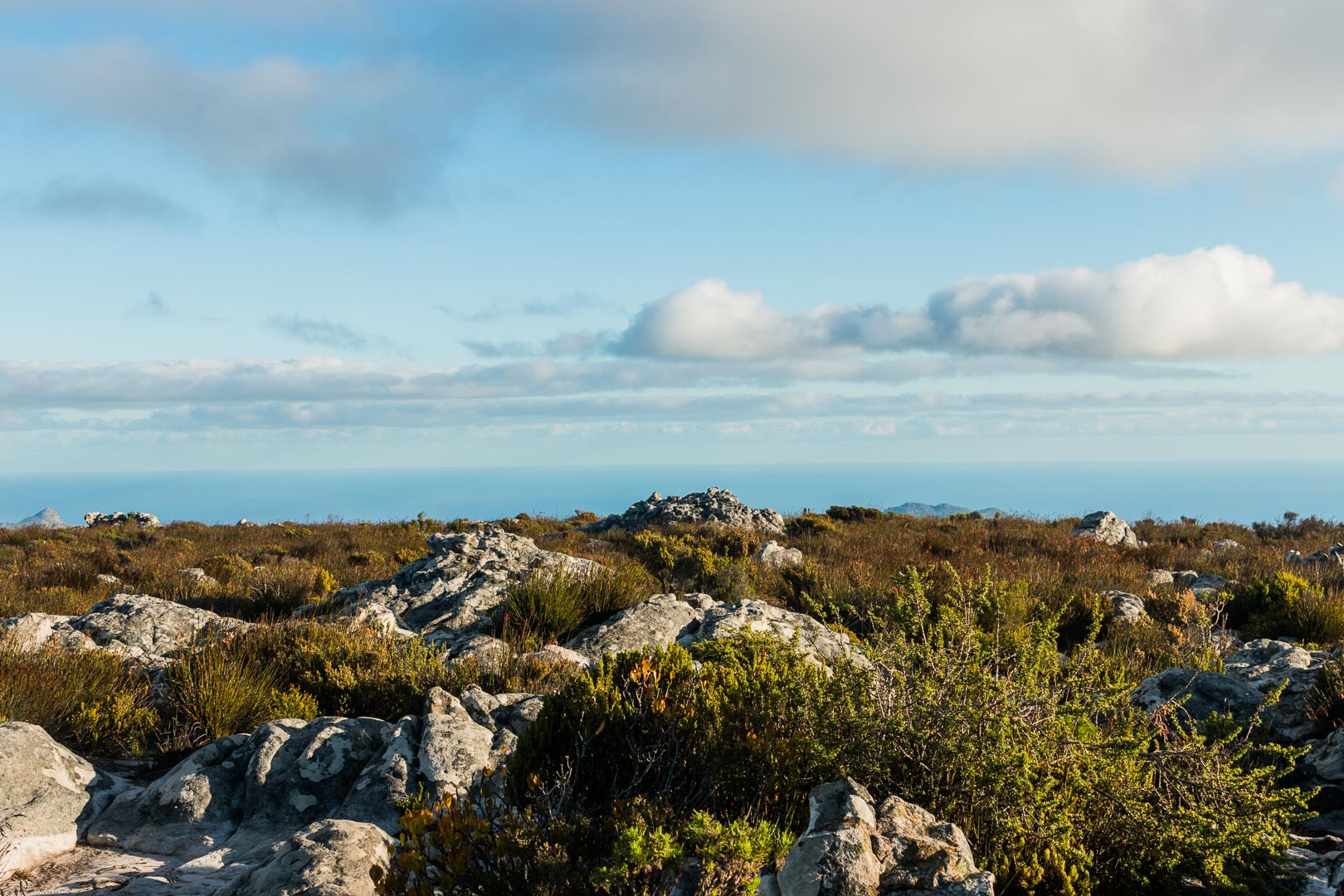 Backplate • ID: 6774 • HDRI Haven - Flat Peak Mountain 2 