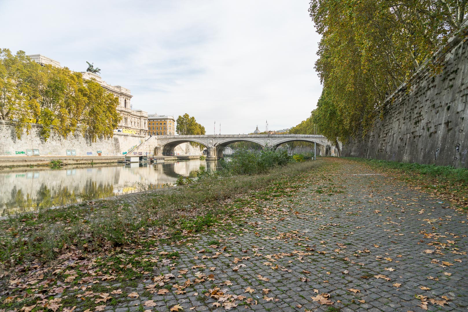 Backplate • ID: 14552 • HDRI Haven - Tiber River