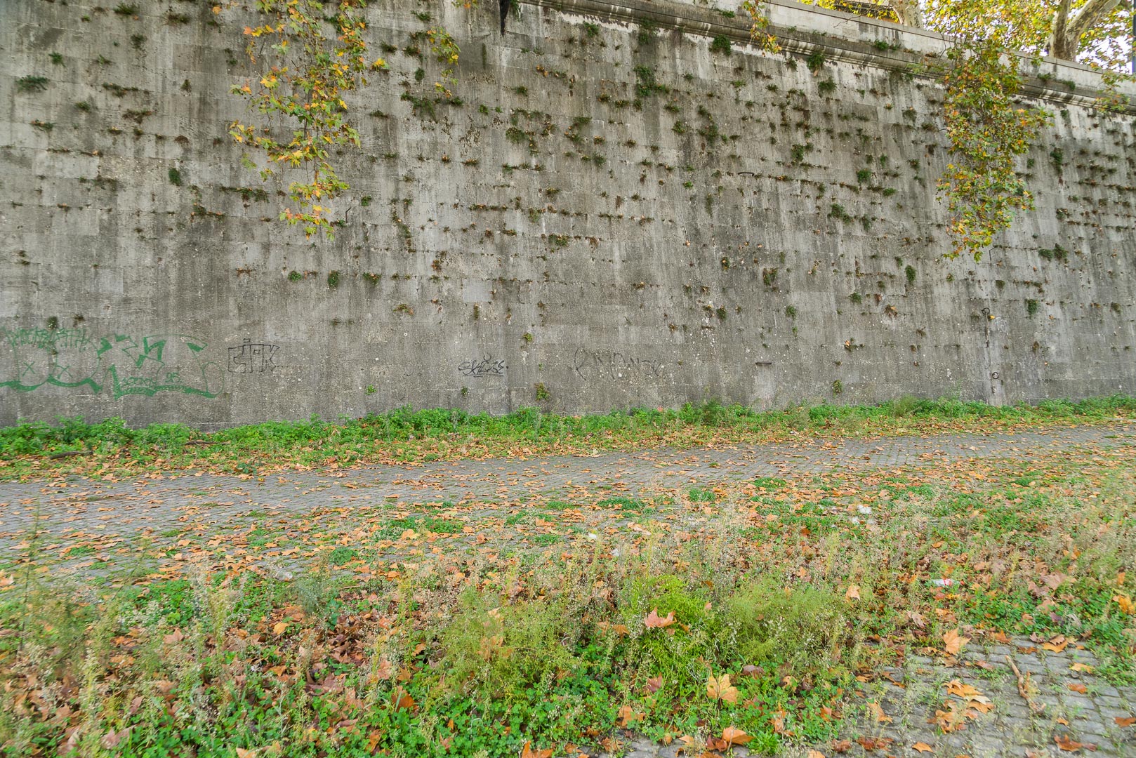 Backplate • ID: 6891 • HDRI Haven - Tiber River