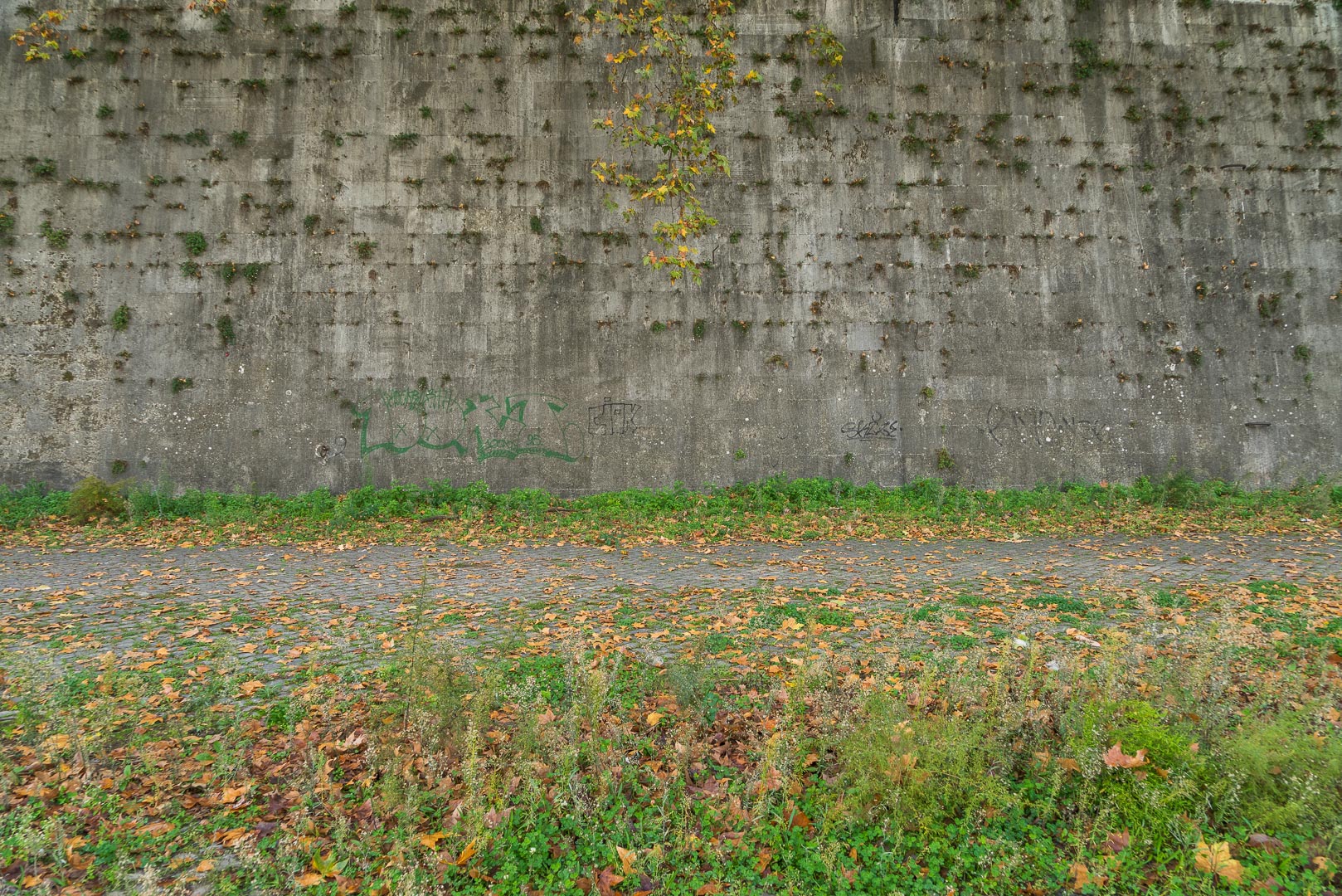 Backplate • ID: 6878 • HDRI Haven - Tiber River