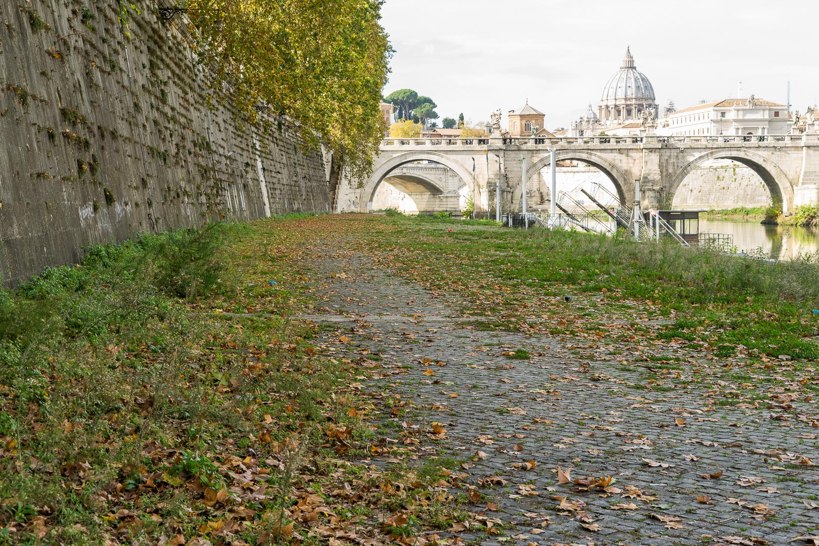 Backplate • ID: 6892 • HDRI Haven - Tiber River