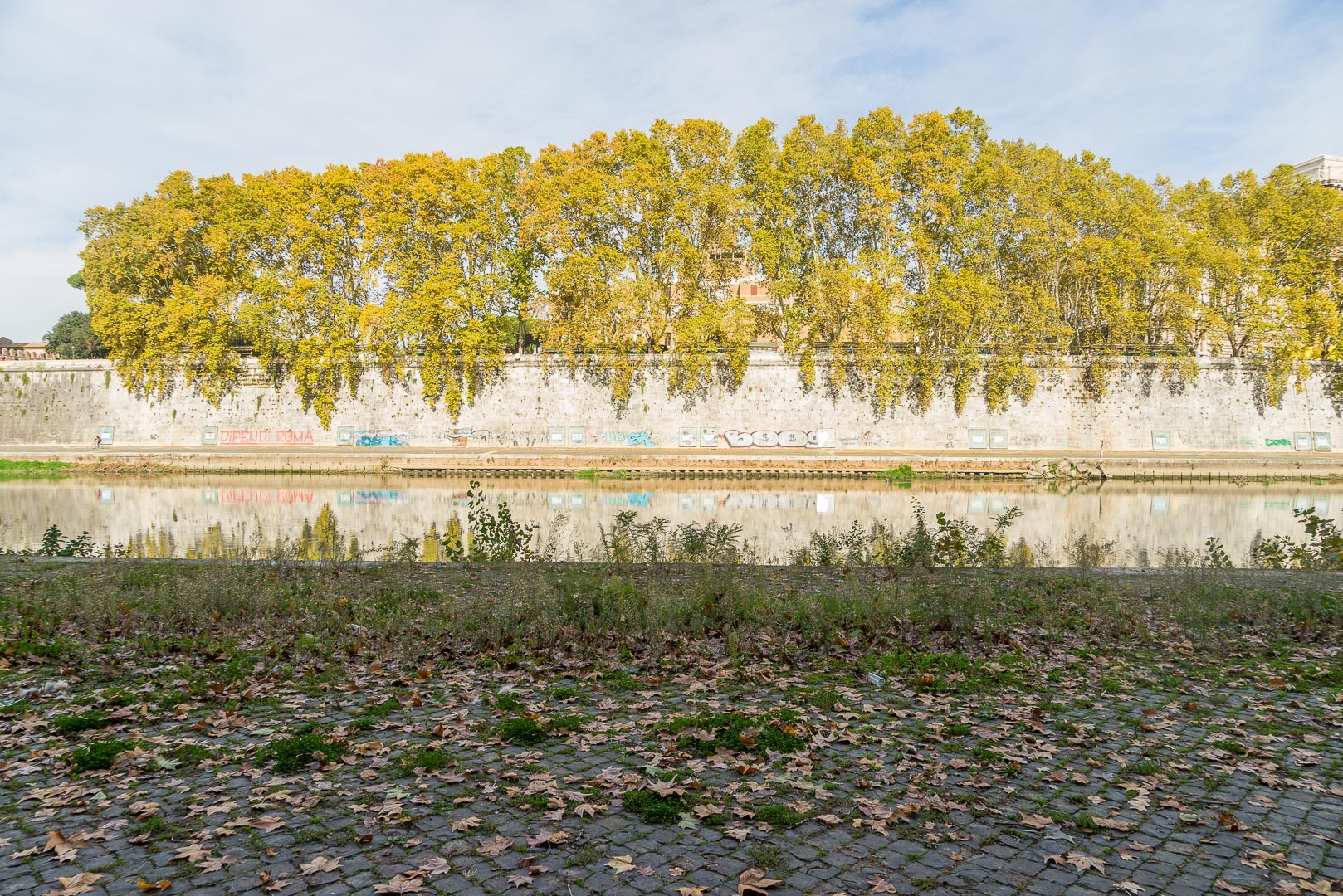 Backplate • ID: 14544 • HDRI Haven - Tiber River