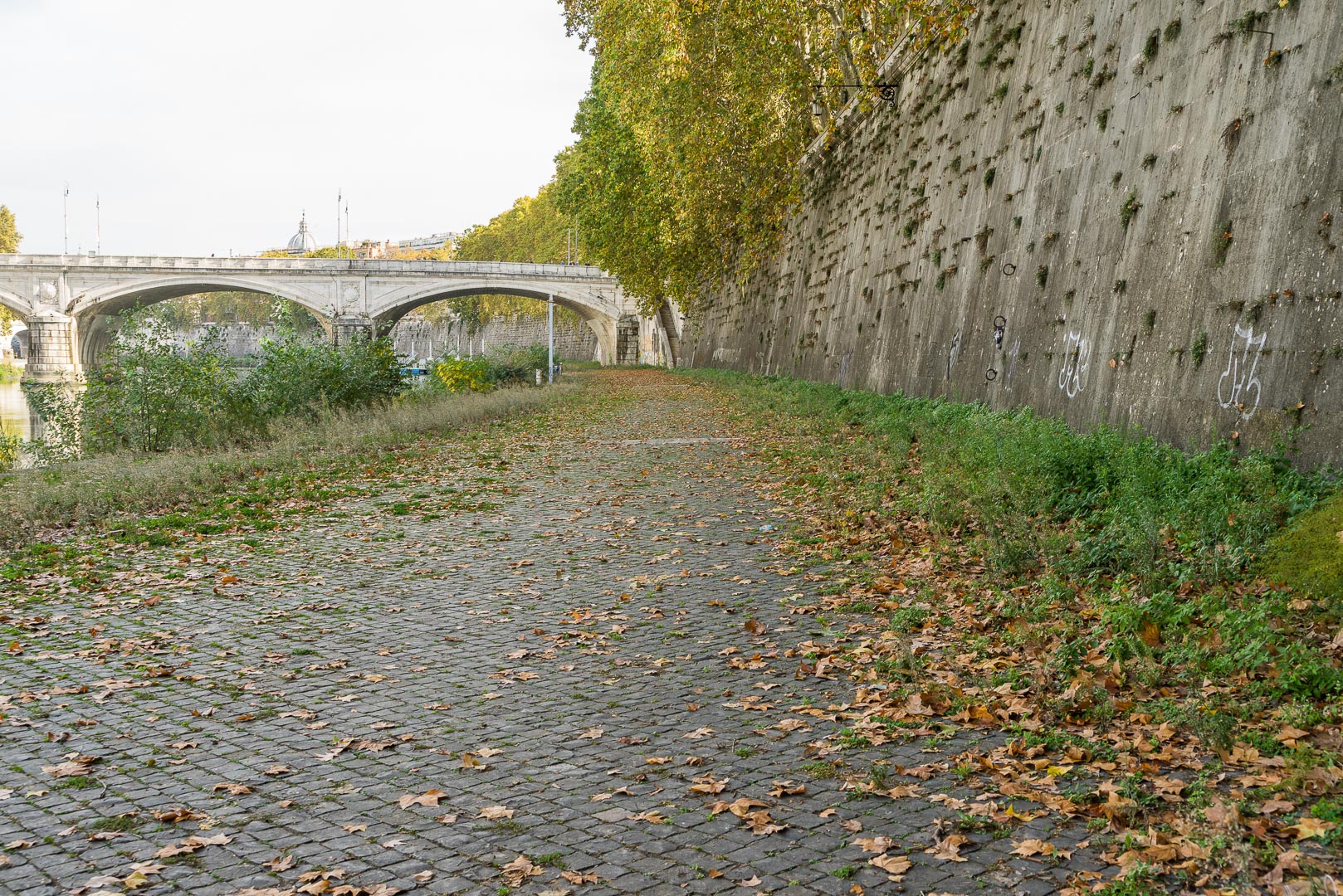 Backplate • ID: 14547 • HDRI Haven - Tiber River