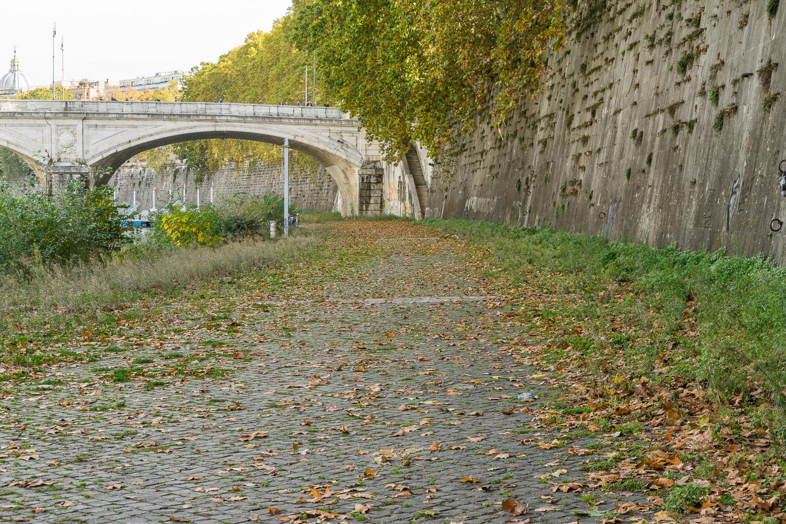 Backplate • ID: 14550 • HDRI Haven - Tiber River