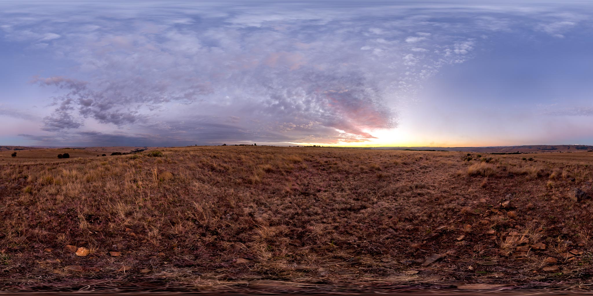 Pinkish Sunset Meadow • HDRI Haven