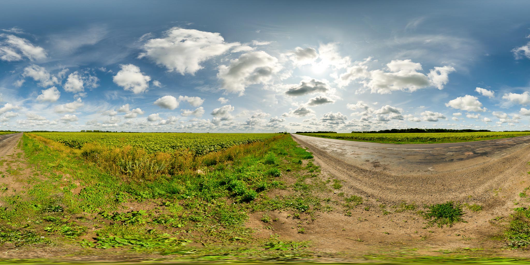 Road At The Sunflower Field Hdri Haven