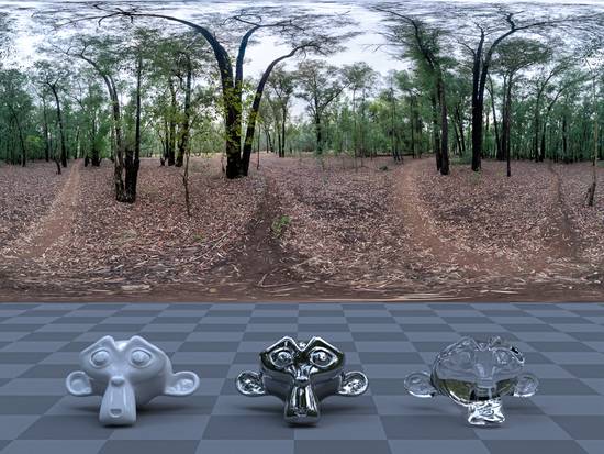 HDRI Haven - Forest With Mulch